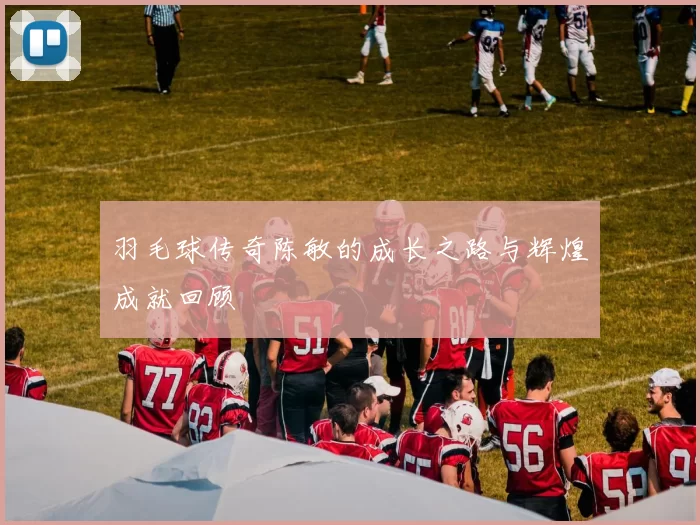 羽毛球传奇陈敏的成长之路与辉煌成就回顾
