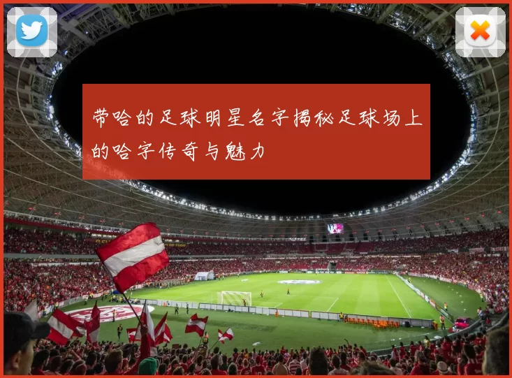 带哈的足球明星名字揭秘足球场上的哈字传奇与魅力