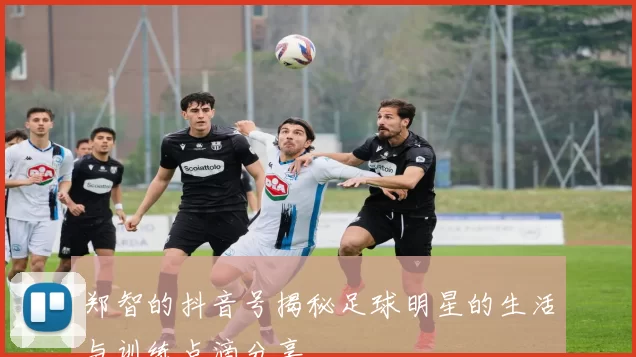 郑智的抖音号揭秘足球明星的生活与训练点滴分享