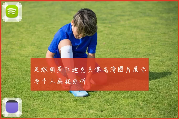 足球明星范迪克头像高清图片展示与个人成就分析