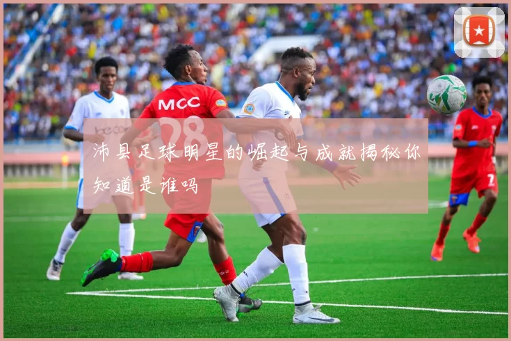 沛县足球明星的崛起与成就揭秘你知道是谁吗