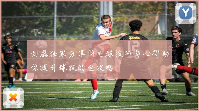 刘磊独家分享羽毛球技巧与心得助你提升球技的全攻略