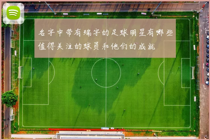 名字中带有瑞字的足球明星有哪些值得关注的球员和他们的成就