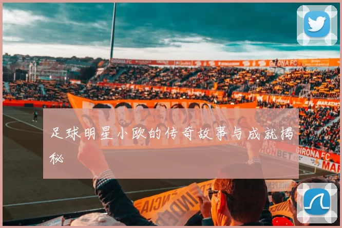 足球明星小欧的传奇故事与成就揭秘