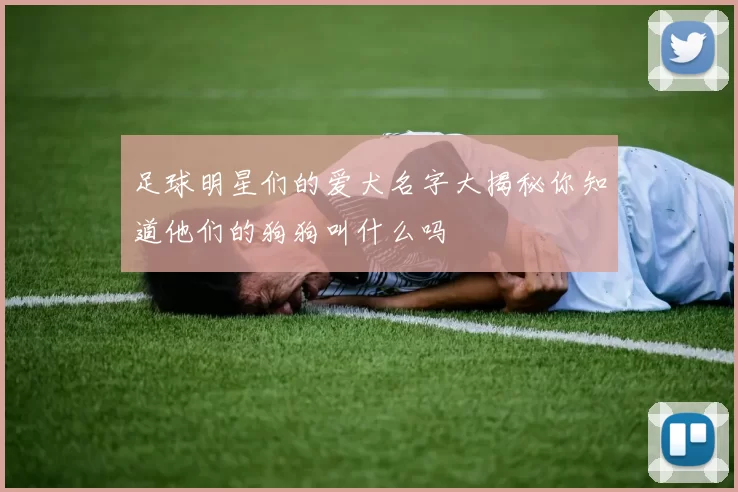 足球明星们的爱犬名字大揭秘你知道他们的狗狗叫什么吗
