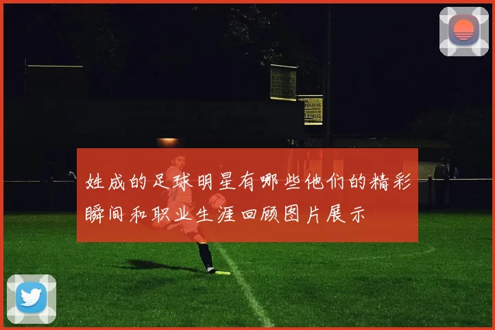姓成的足球明星有哪些他们的精彩瞬间和职业生涯回顾图片展示